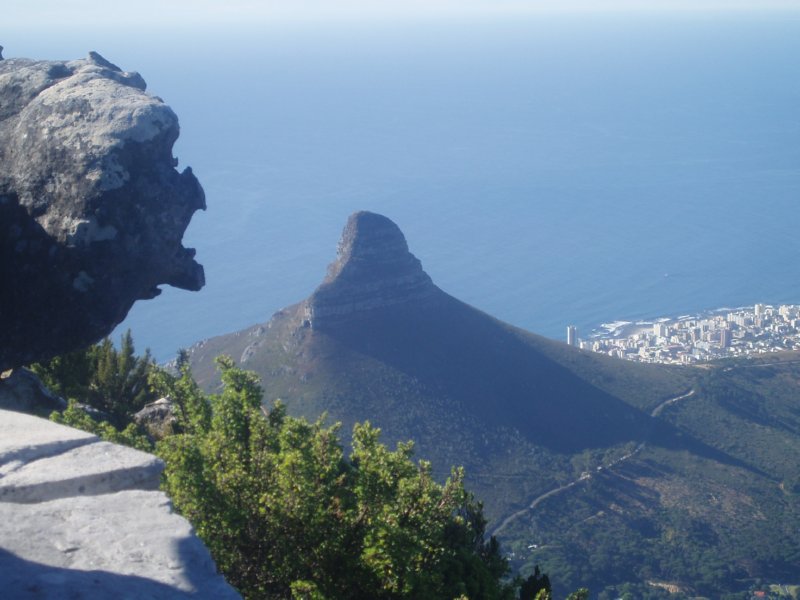 KeHa_in_South_Africa - 238